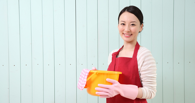 定期グリーンクリーニング(家事代行、定期清掃)